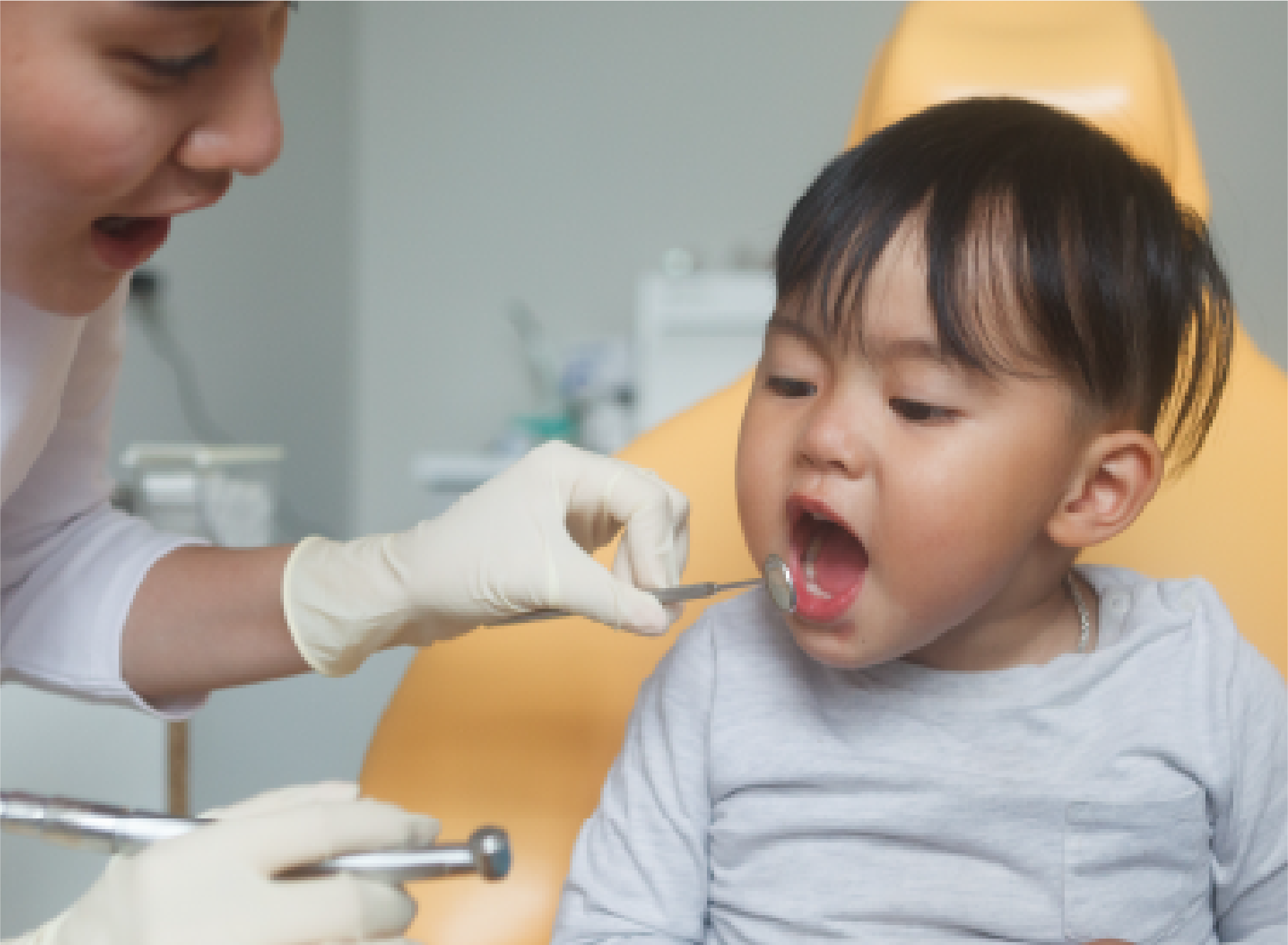 むし歯治療の練習